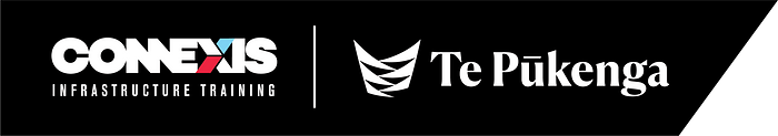 Dunedin All Industry Assessor Forum logo